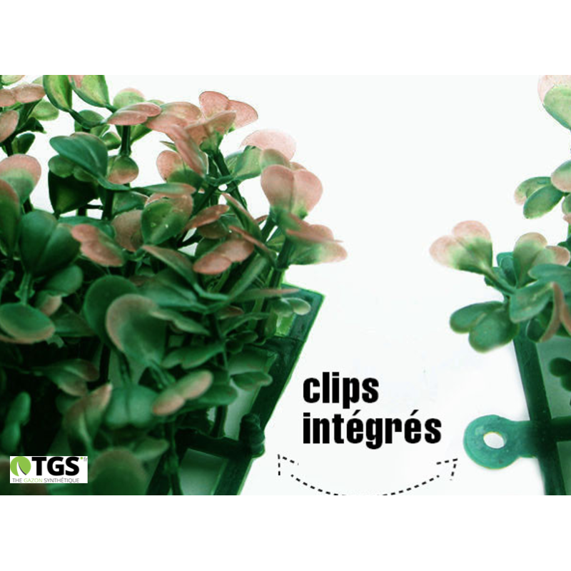 clips mur végétal artificiel lavandou