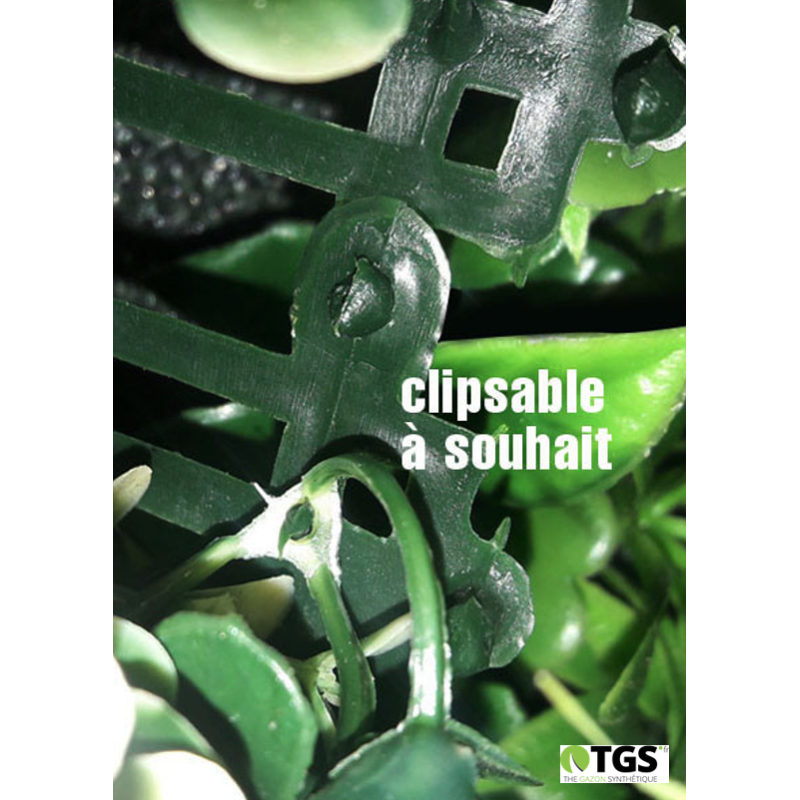 clips mur végétal artificiel lavandou