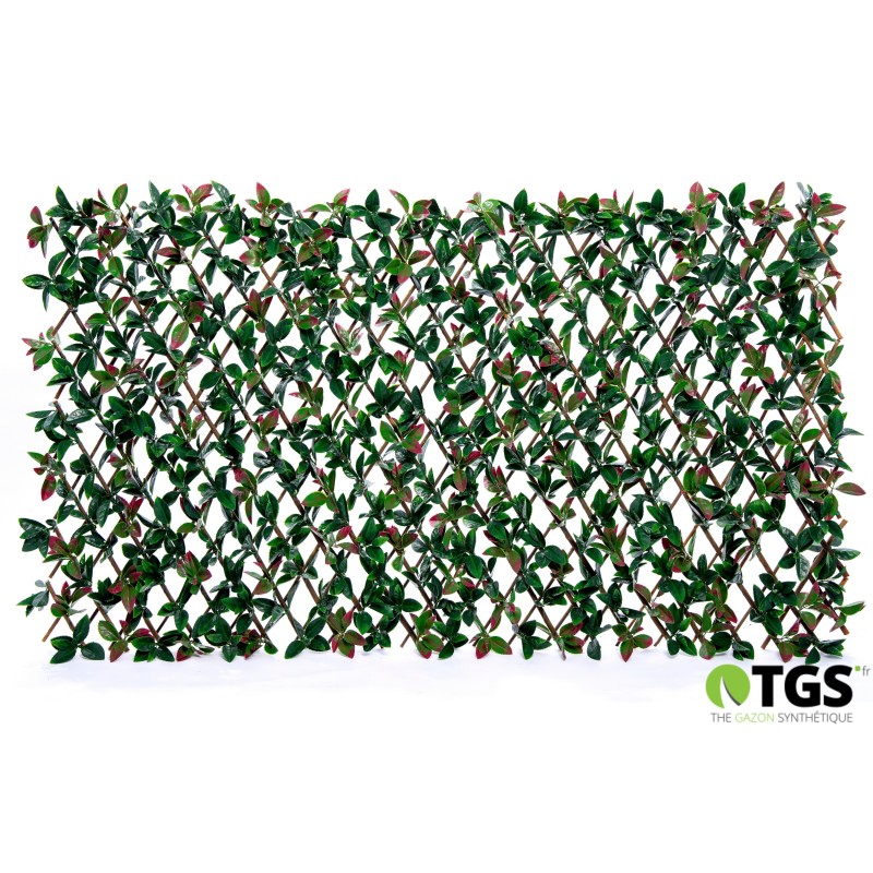 treillis fleuri extensible