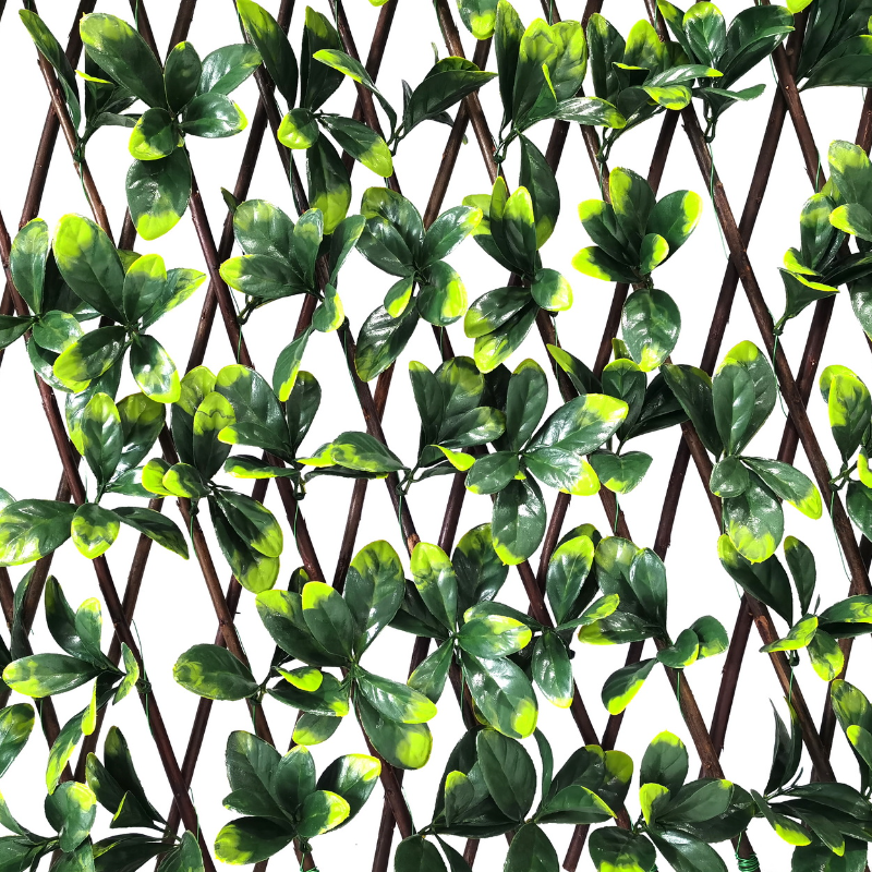 treillis fleuri laurier