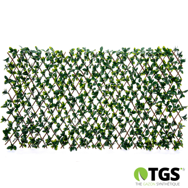 treillis fleuri extensible