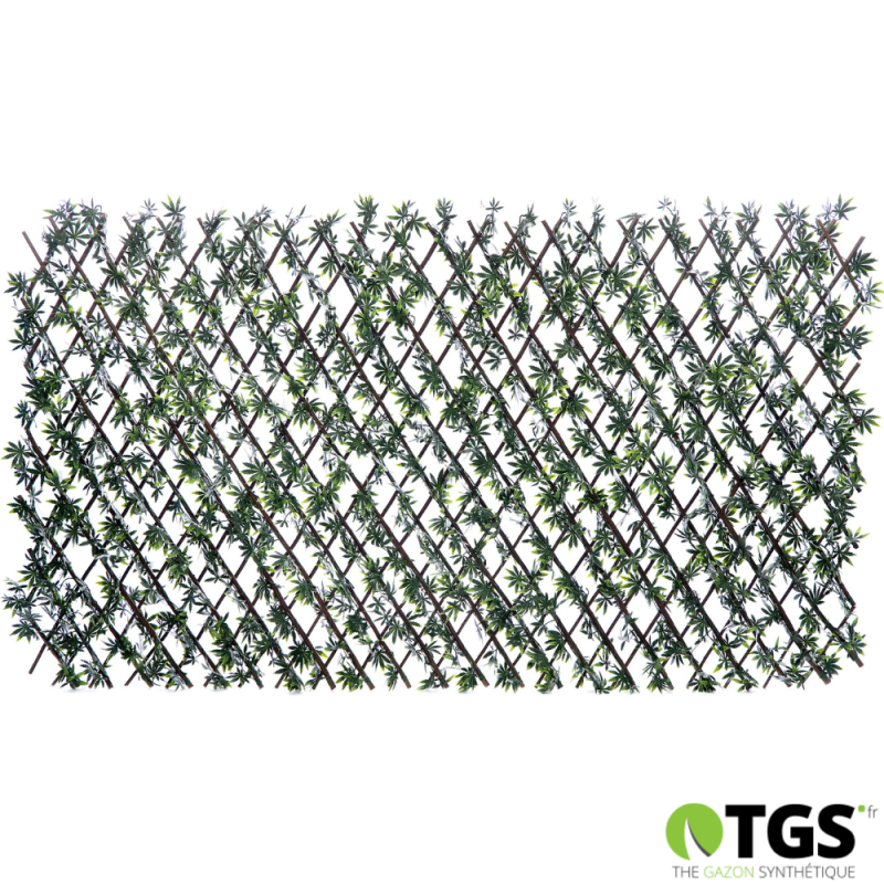 treillis fleuri extensible