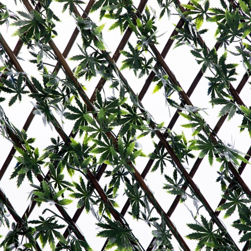 treillis fleuri imitation feuille de houx vert