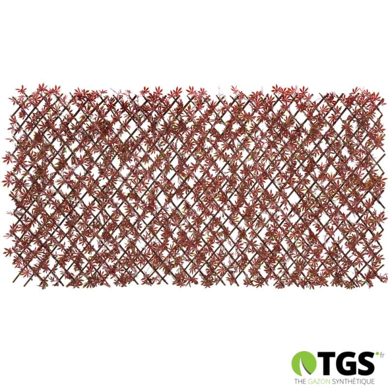 treillis fleuri extensible