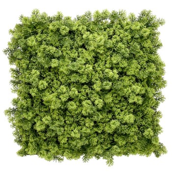 Mur végétal artificiel modèle Houttuynia