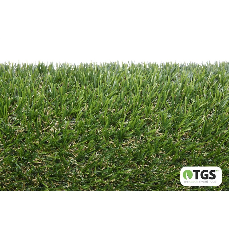 Gazon synthétique Safari 25 mm TGS