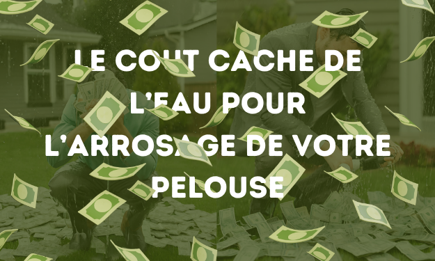 image avec des billet partout et la phrase 