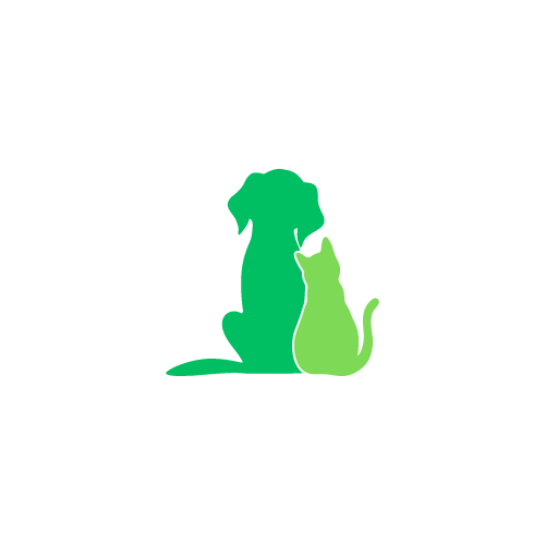 chiens et chats sur gazon synthétique 