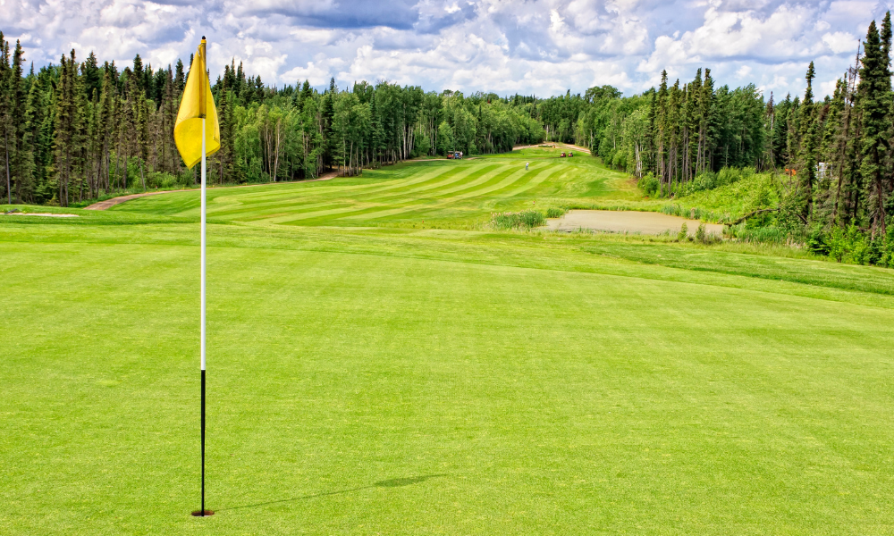 golf en gazon synthétique