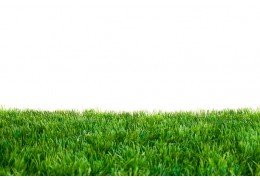 Gazon synthétique VS gazon naturel : quelle est la différence ?