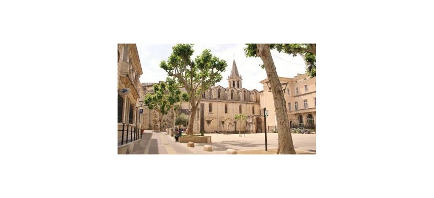 Vente et pose de pelouse synthétique à Carpentras