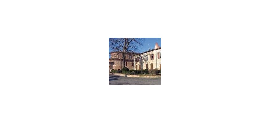 Vente et pose pelouse synthétique à Montastruc-la-Conseillere