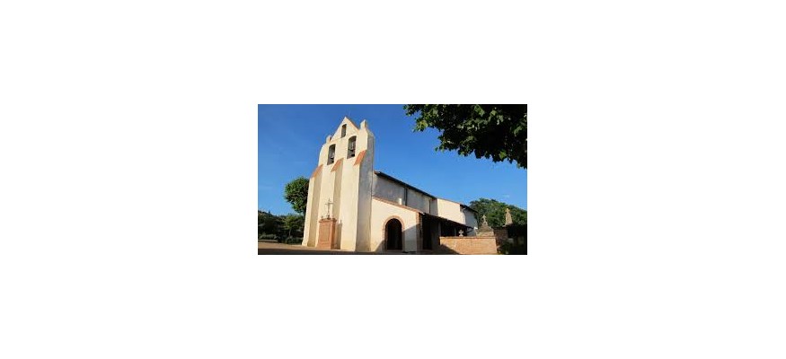 Vente et pose pelouse synthétique Pin Balma