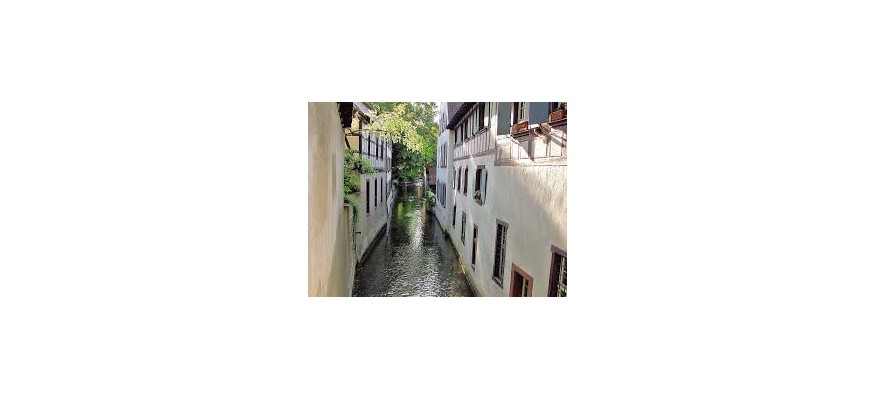 Vente et pose pelouse synthétique à Saint Alban