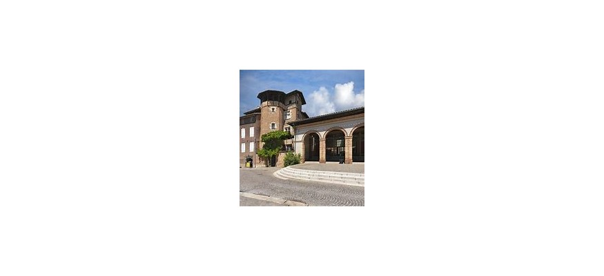 Vente et pose pelouse synthétique à Gaillac