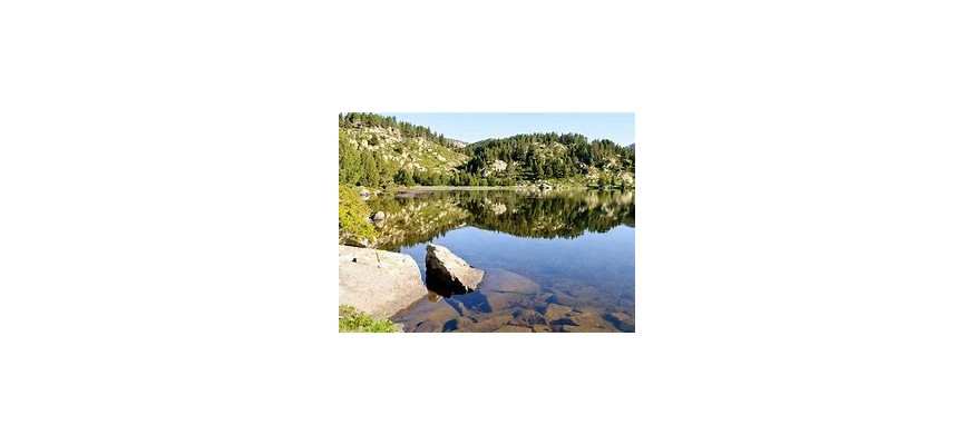 Vente et pose pelouse synthétique Pyrénées-Orientales