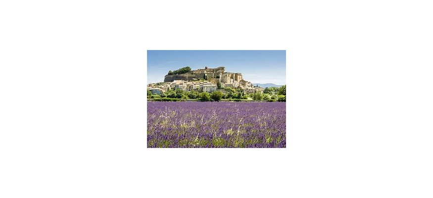 Vente et pose pelouse synthétique en Drôme