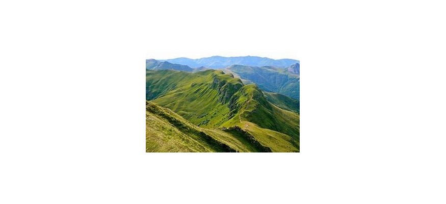 Vente et la pose pelouse synthétique dans le Cantal