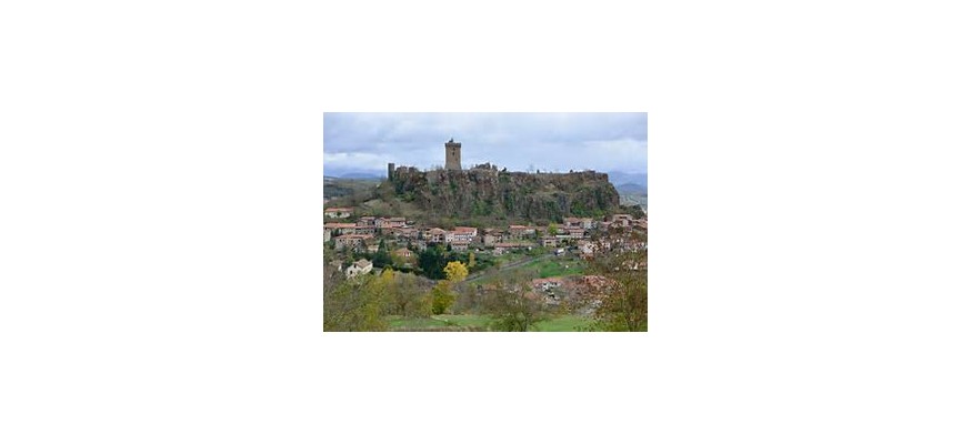 Vente et pose pelouse synthétique dans la Haute Loire