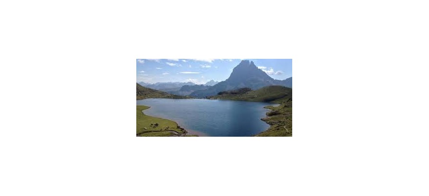 Vente et pose pelouse synthétique en Pyrénées Atlantiques