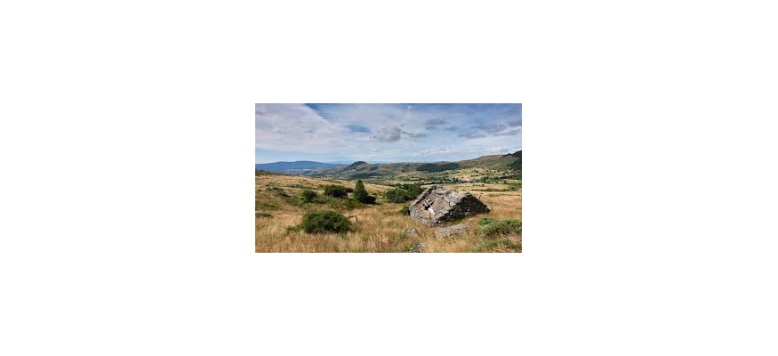 Vvente et pose pelouse synthétique en Lozère