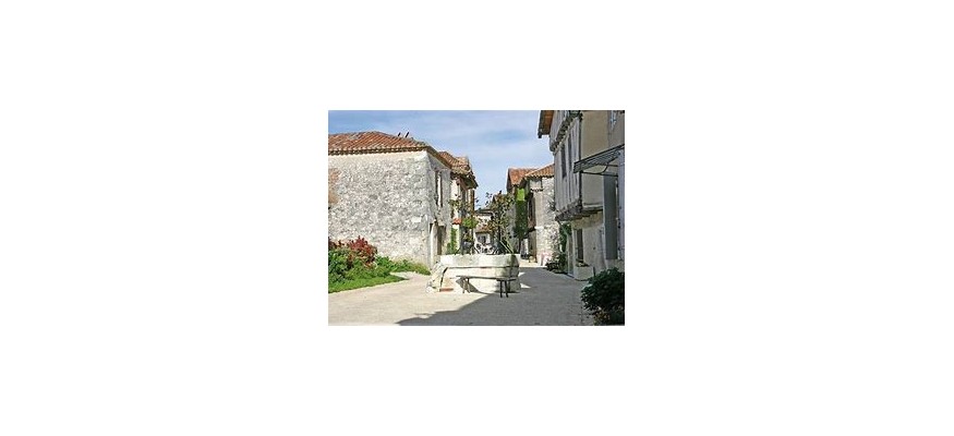 Vente et pose pelouse synthétique Lot et Garonne