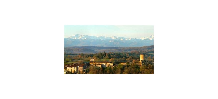 TGS vente et pose pelouse synthétique Haute-Garonne
