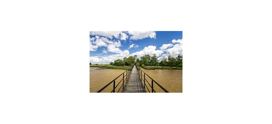Vente et pose pelouse synthétique Gironde