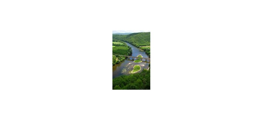 Vente et pose pelouse synthétique Dordogne