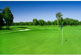 Le gazon synthétique pour la pratique du golf !