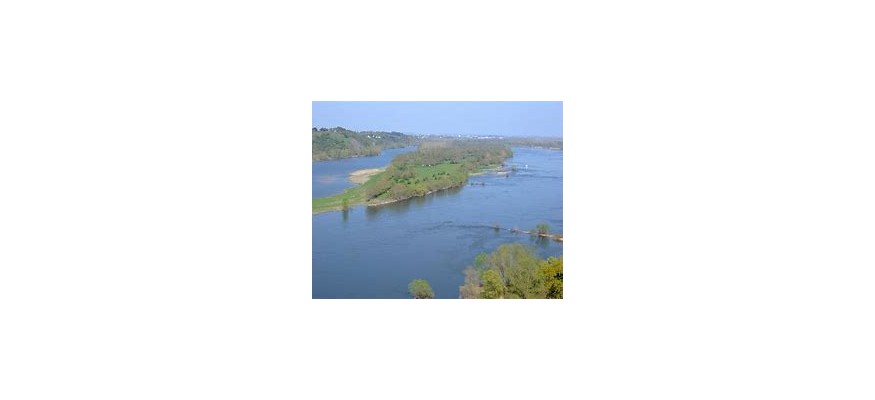 Vente et pose de pelouse synthétique Loire