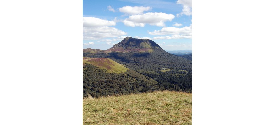 Vente et pose pelouse synthétique Puy de dôme
