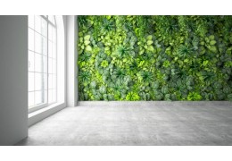Comment créer un mur végétal artificiel ?