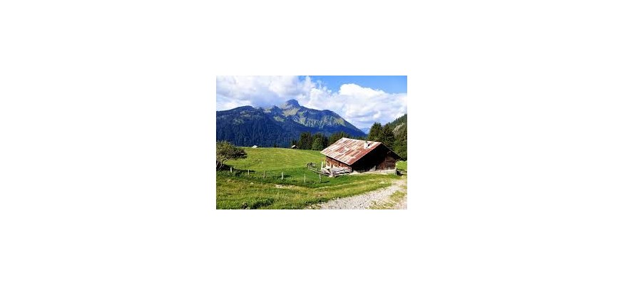 Vente et pose pelouse synthétique Savoie