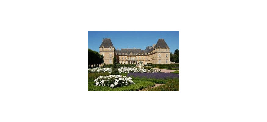 Vente et pose pelouse synthétique Saône et Loire
