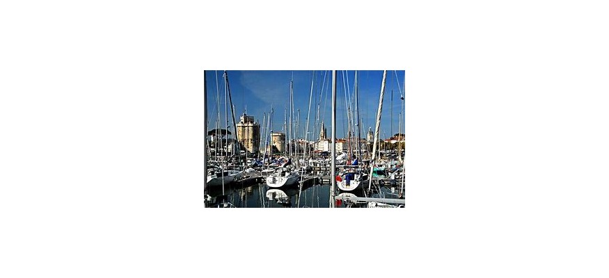 Vente et pose pelouse synthétique Charente-Maritime