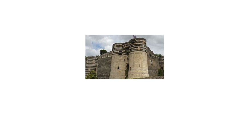 Vente et pose pelouse synthétique Maine-et-Loire