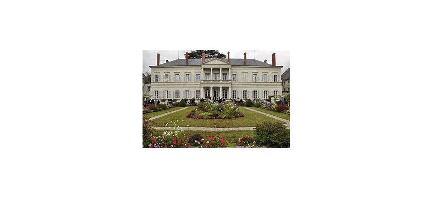 Vente et pose pelouse synthétique Loir-et-Cher