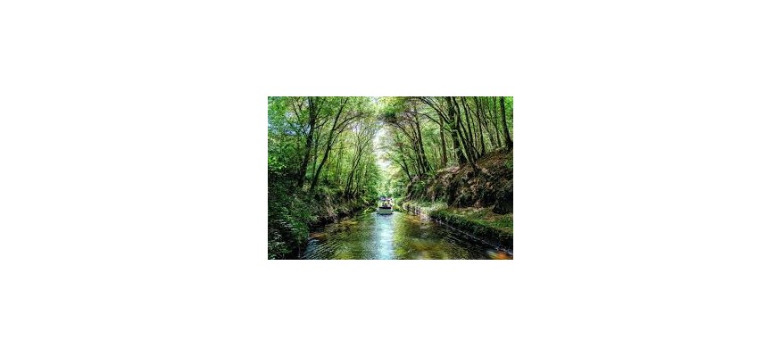 Vente et pose pelouse synthétique Nièvre