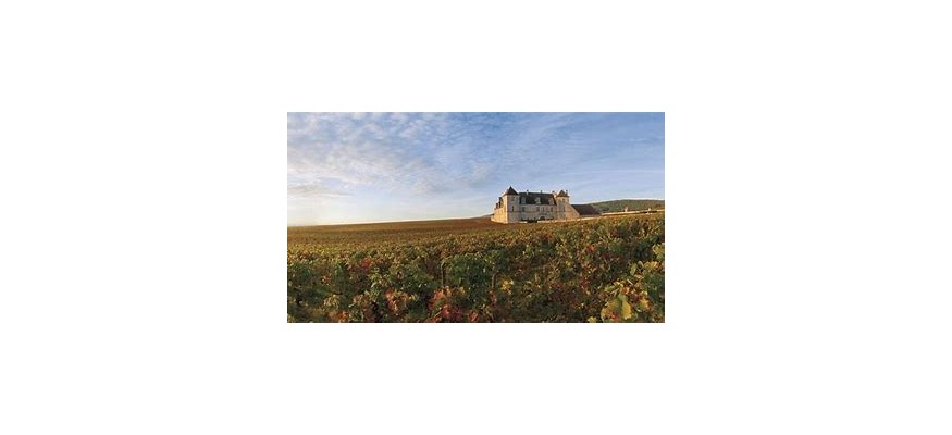 Vente et pose pelouse synthétique Côte d’Or