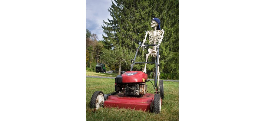 Pose et vente de gazon synthétique à Evreux