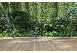 Comment végétaliser sa terrasse ?