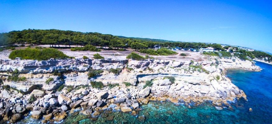 Vente et de gazon artificiel à Martigues