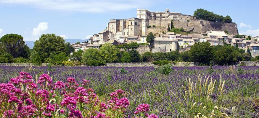 Vente et pose de gazon artificiel dans la Drôme
