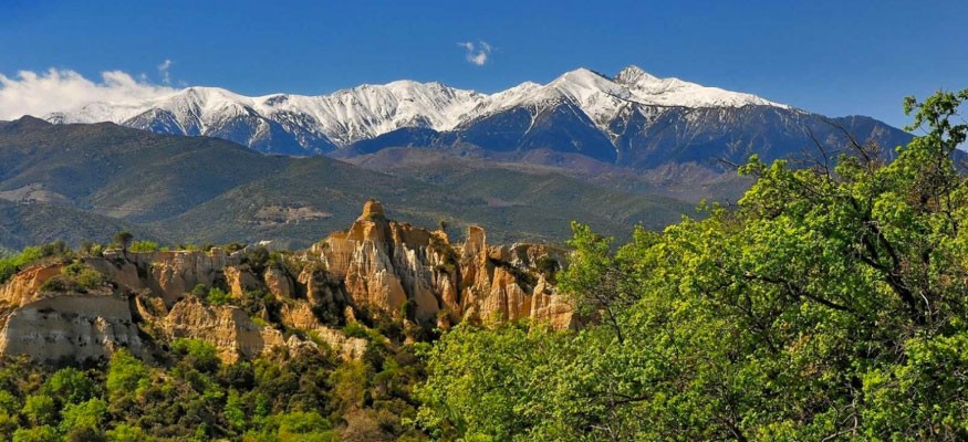 Gazon synthétique Pyrénées-Orientales