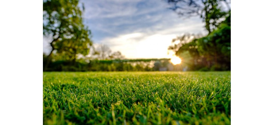 La pelouse artificiel est la solution pour un jardin beau et écologique