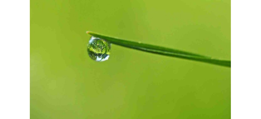 Citerne souple ou citerne en dur pour récupérer les eaux de votre toit ?