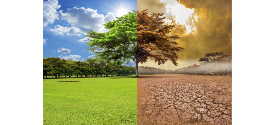 Comment lutter contre le manque d’eau ?