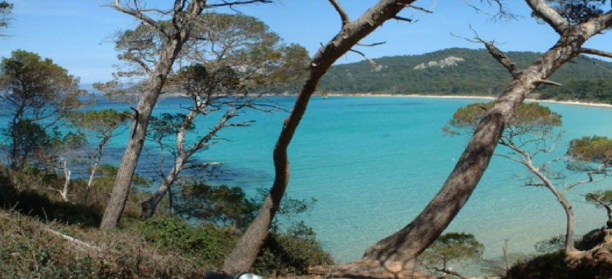 Vente et pose de gazon synthétique dans le Var