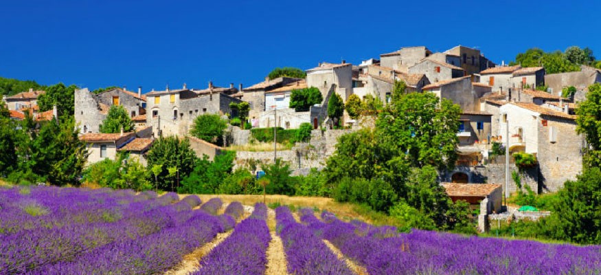 Vente et pose de gazon synthétique Vaucluse